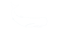 White Whale Construction Logo